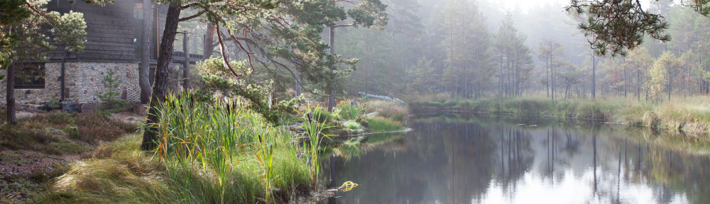 accommodation at coast Western Estonia