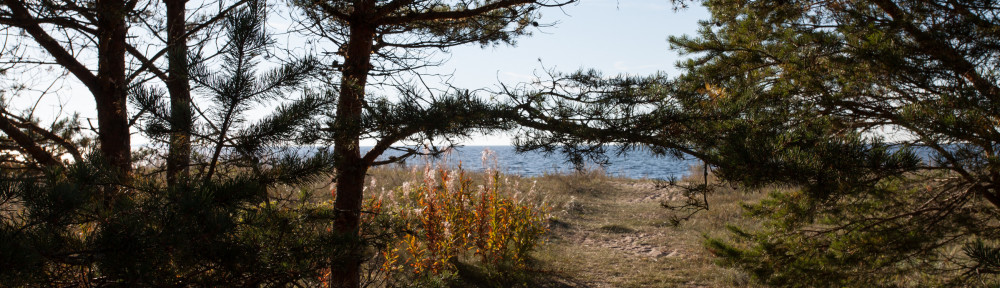 accommodation at coast Western Estonia
